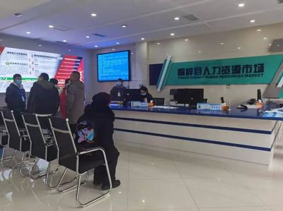 桐梓縣 以專業咨詢服務為引擎，筑牢“穩就業”“保就業”基石，驅動經濟社會高質量發展