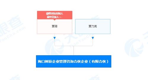 解碼社會經(jīng)濟咨詢服務的價值與挑戰(zhàn)